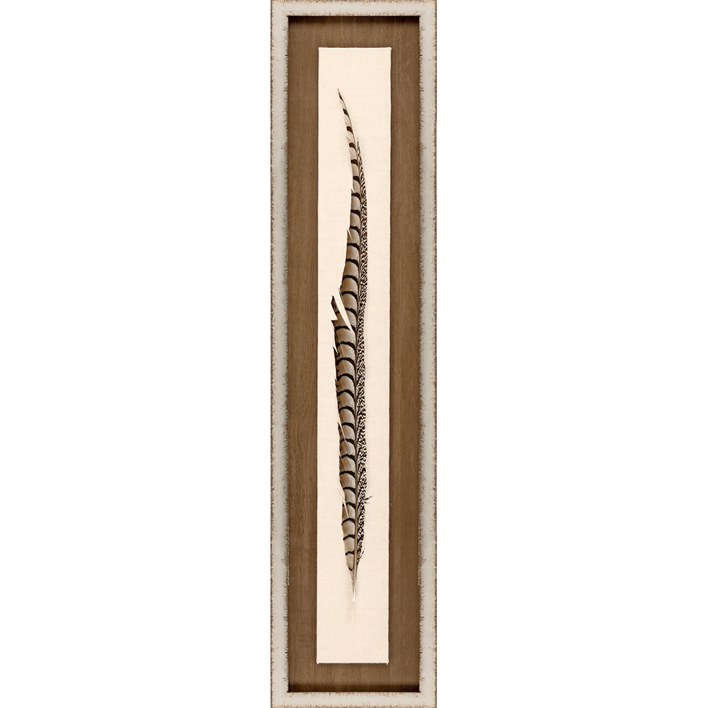 Feather Art 41"Hx9"W