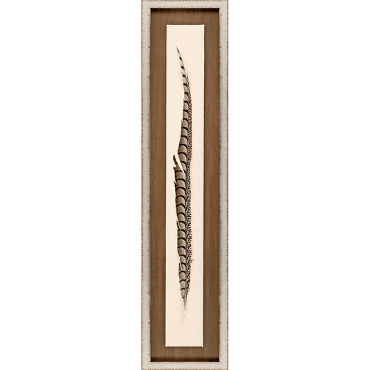 Feather Art 41"Hx9"W