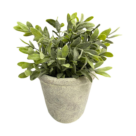 11" Succulent Cement Pot