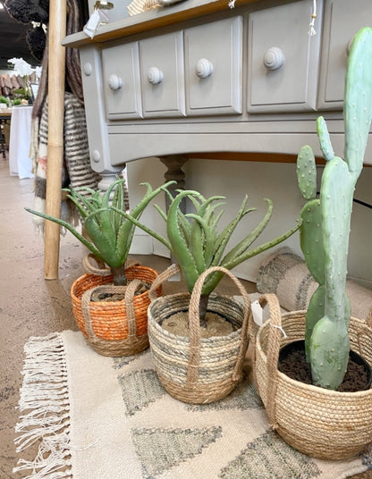 Faux Cactus in Black Pot