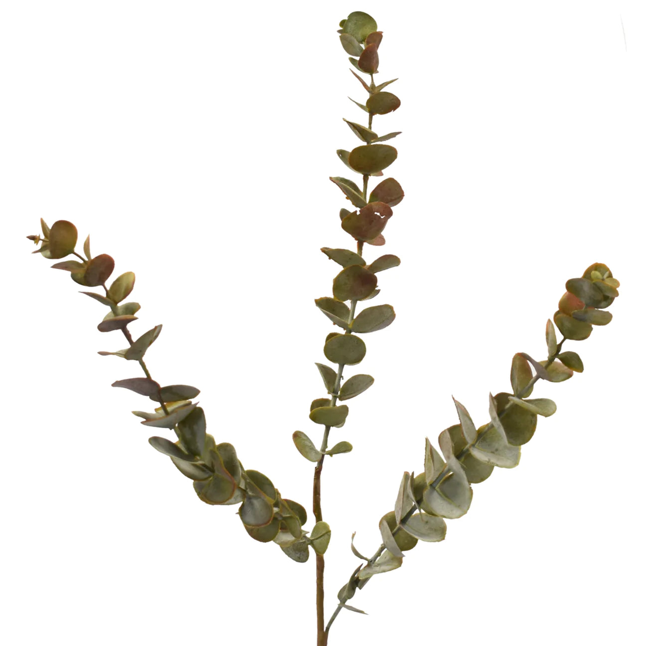 27.5" Green Burgundy Eucalyptus Stem