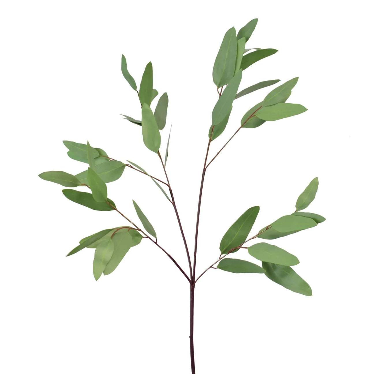 30" Eucalyptus Leaf Stem