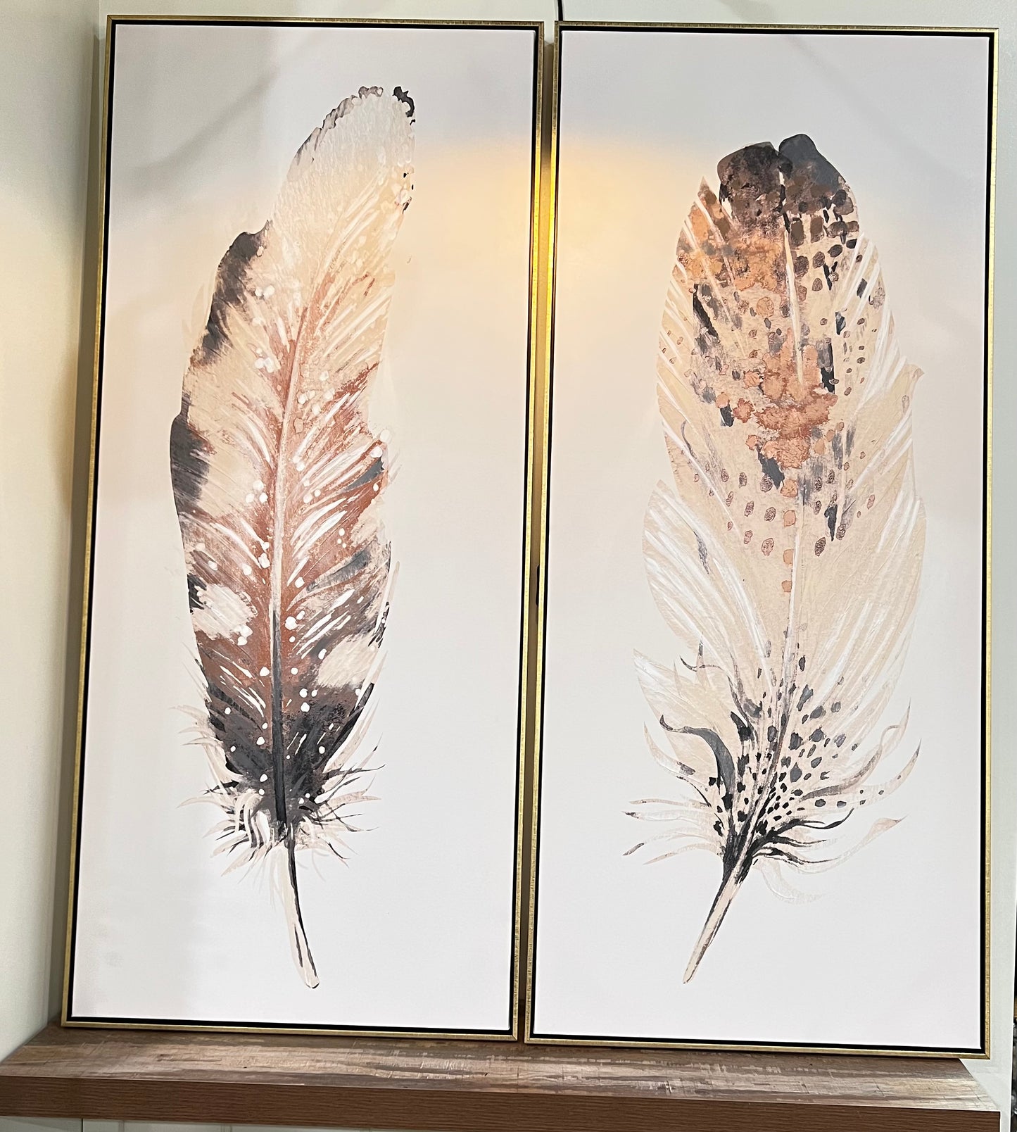 Urban Feather Art Set of 2