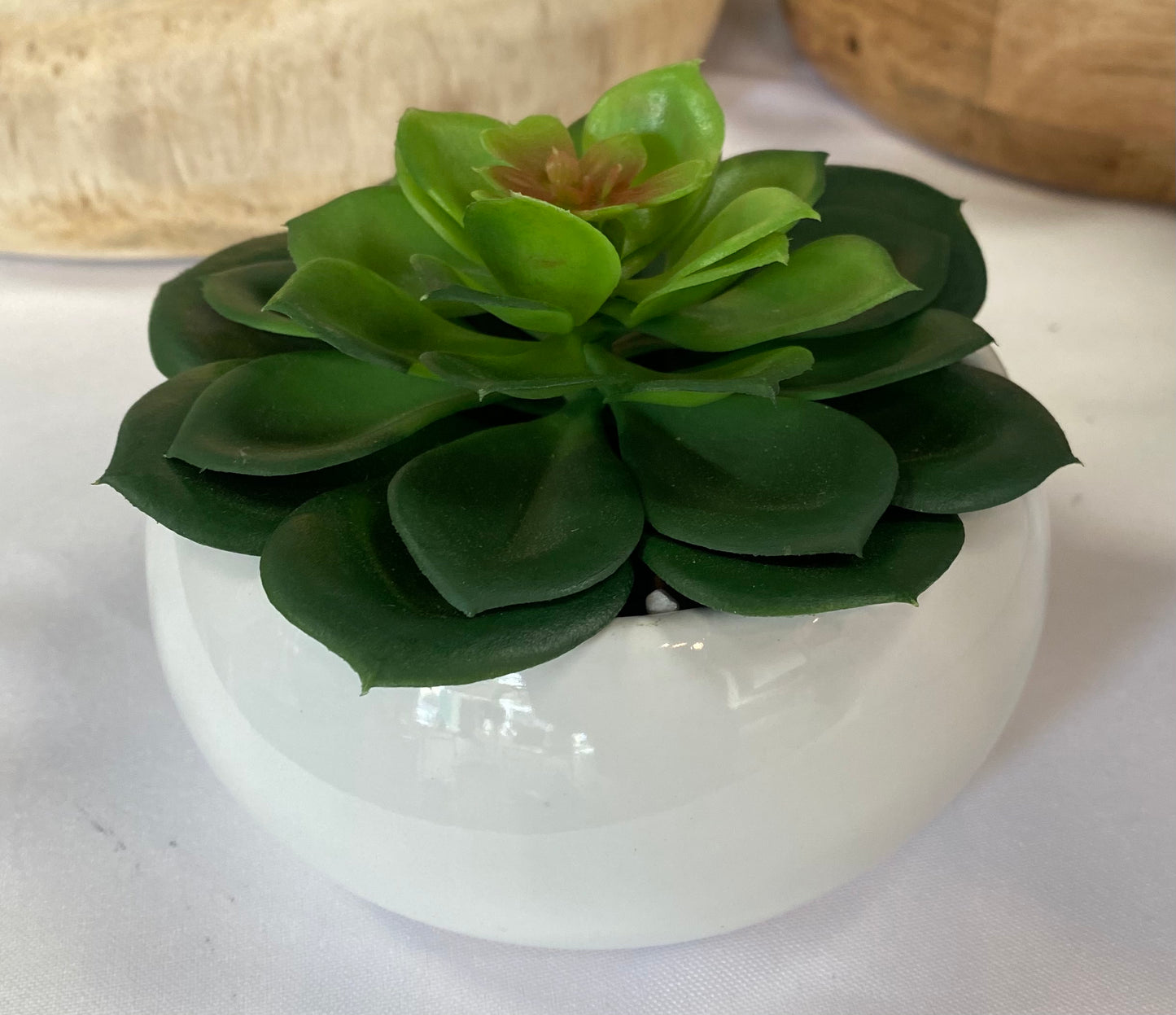 Succulent White Pot