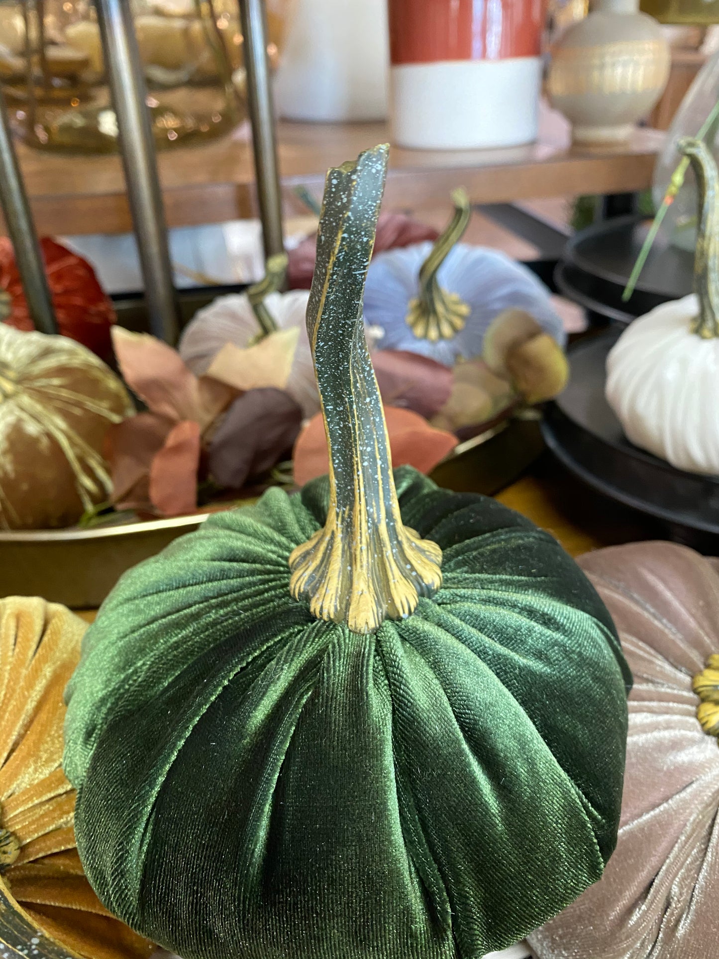 Velvet Pumpkin