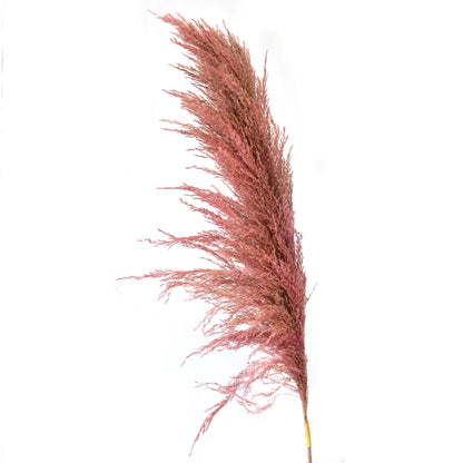 43" Pink Pampas Branch