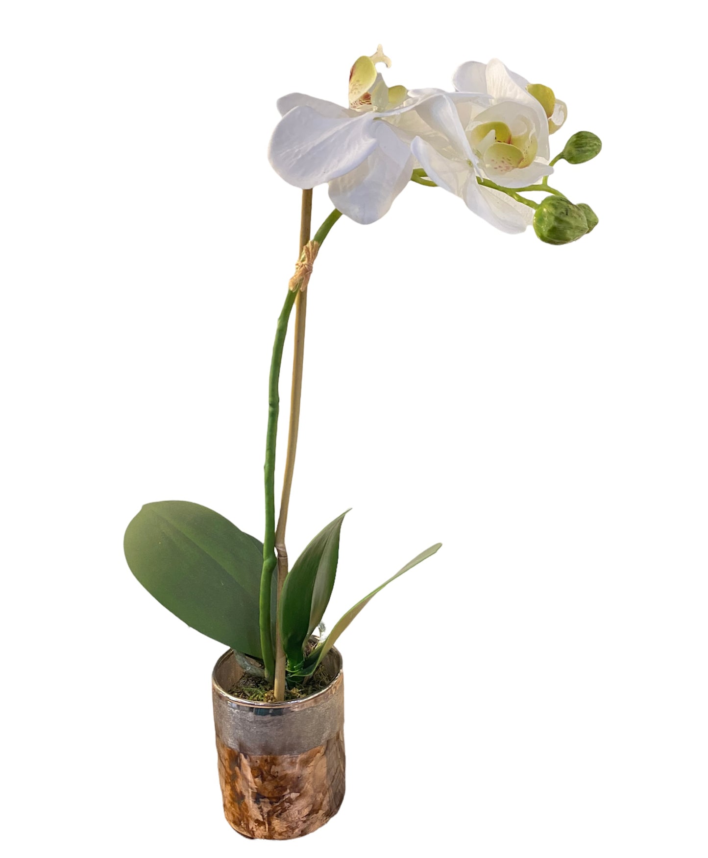 15” Orchid in Mercury Glass