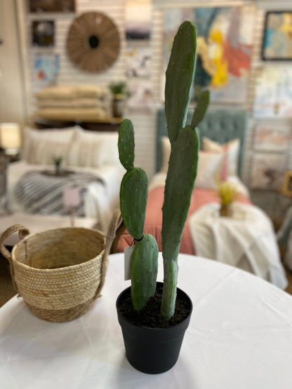 Faux Cactus in Black Pot