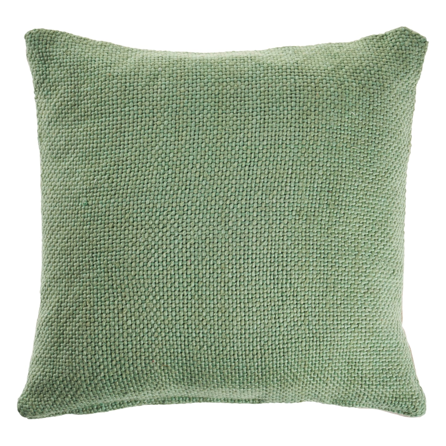 Smoke Light Green Solid Throw Pillow